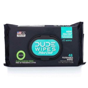 DUDE Wipes Flushable Wet Wipes Dispenser Mint Chill