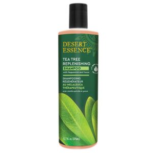 Desert Essence, Daily Replenishing Shampoo, Tea Tree Oil