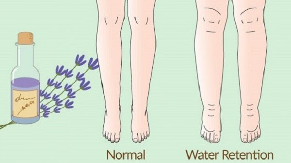 Essential Oil For Water Retention Actually Helps