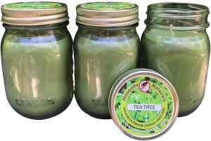 Mosquito Naturals Tea Tree Candles With Essential Oils  - Natural Mosquito Repellent