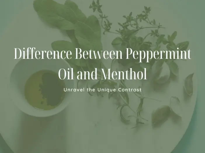 difference between peppermint oil and menthol